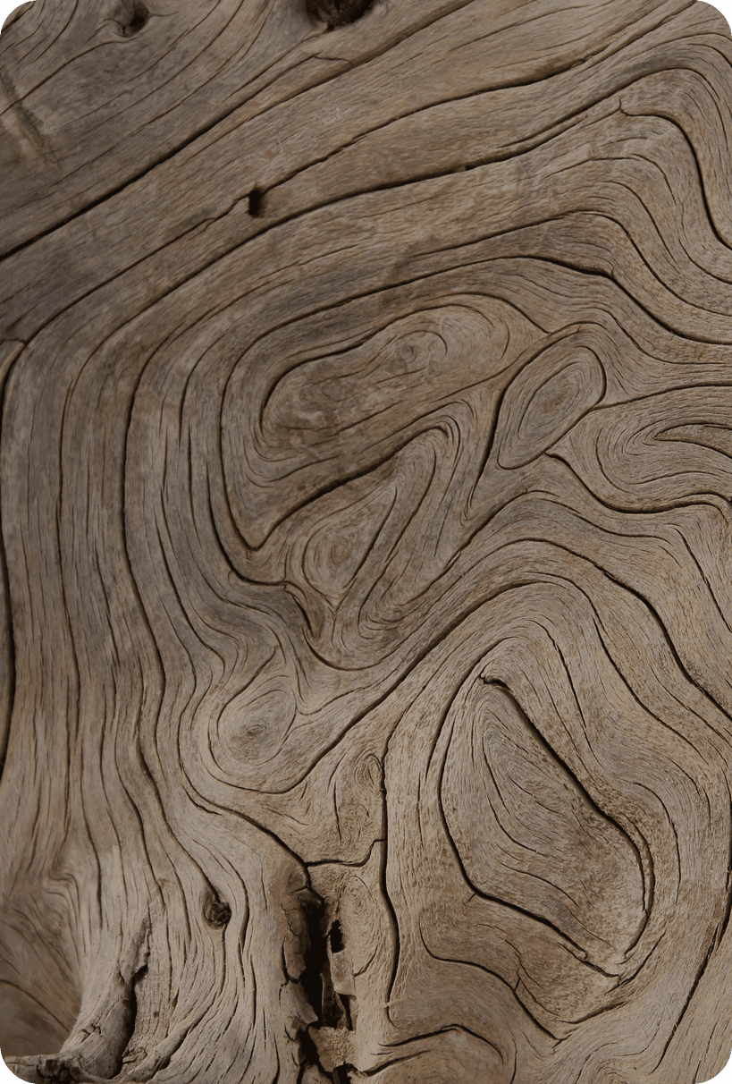 Hair Thickening (Wood)